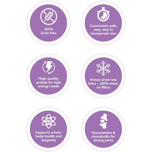 Wellness Core RawRev Small Breed Original - 4lbs & 10lbs