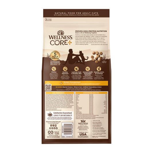 Wellness Cat Core Grain Free indoor Salmon 5lbs & 11lbs