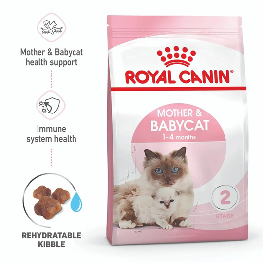 Royal Canin Feline Mother and Baby Cat 2kg (Stage 2)
