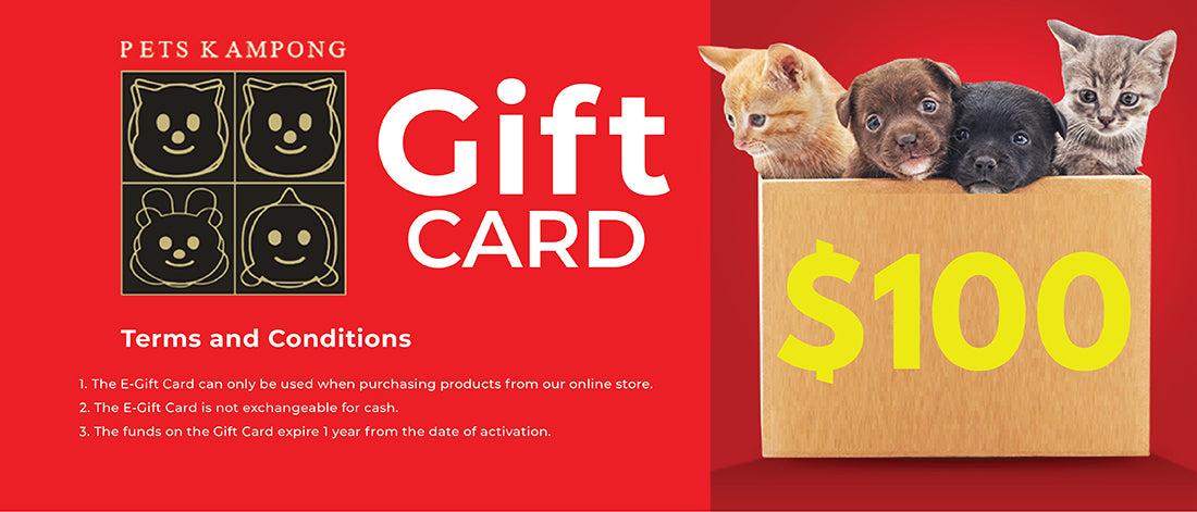 Gift Card $100