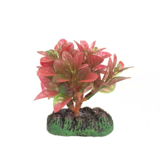 Nisso Aquatic Plants SS-2