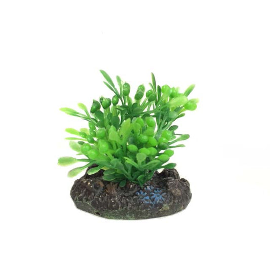 Nisso Aquatic Plants SS-3