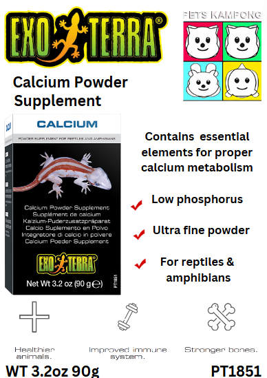 Calcium Powder Supplement