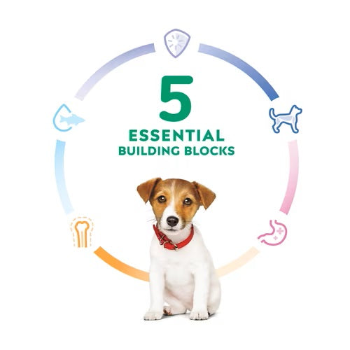 Science Diet Puppy Chicken Meal & Brown Rice Recipe Small Bites 12kg