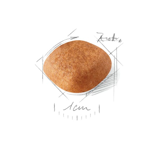 Royal Canin - Canine Breed West Highland White Terrier Adult 3kg