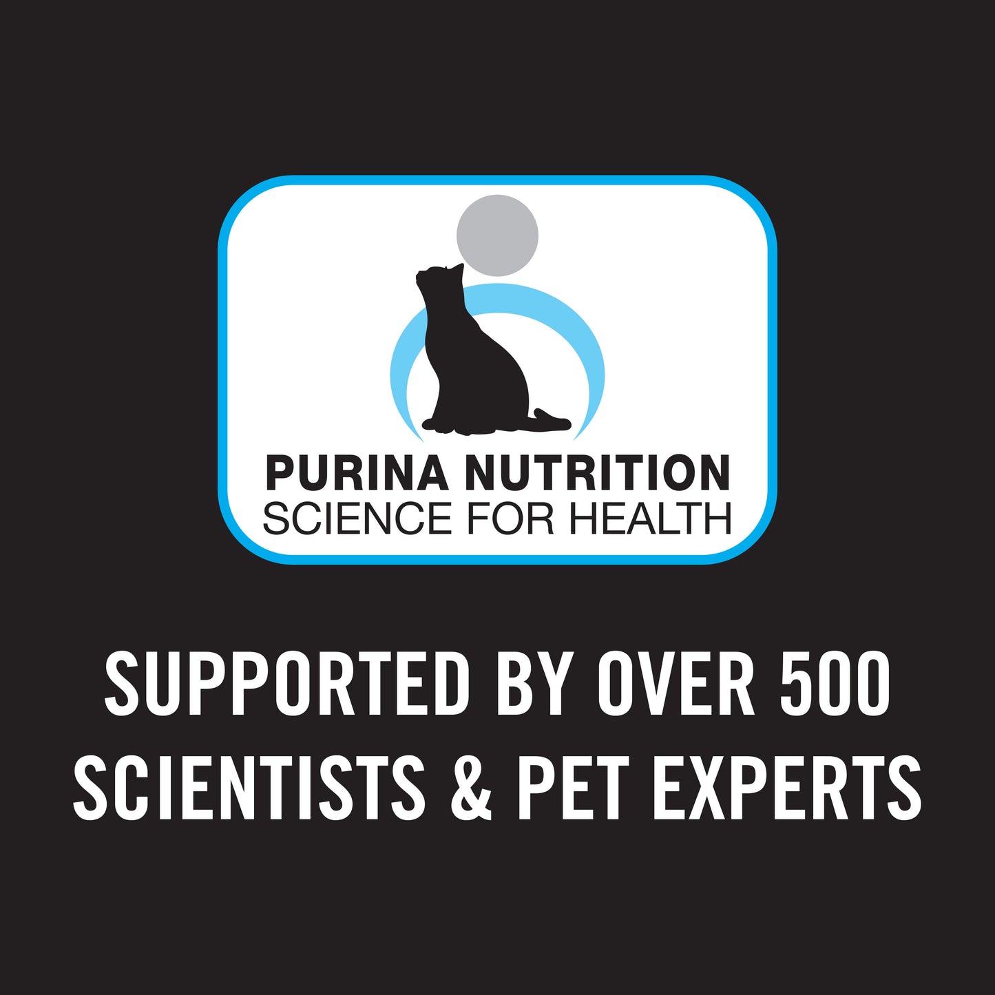 PURINA PRO PLAN Kitten Dry Food Salmon