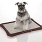 Richell Pee Tray With Mesh Wide (64W x 48D x 4H cm) - Brown