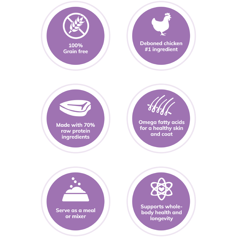 Wellness Core Canine Tender Bites Original 2lbs