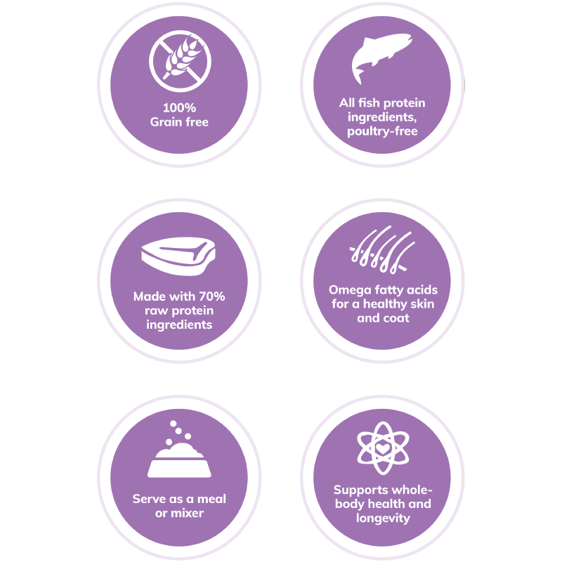 Wellness Core Canine Tender Bites Ocean 2lbs