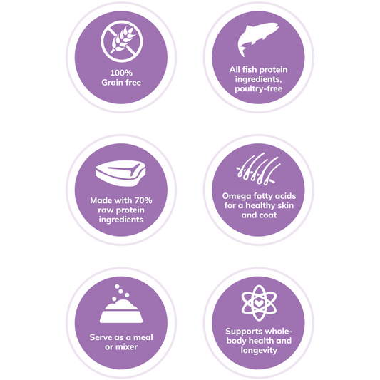 Wellness Core Canine Tender Bites Ocean 2lbs