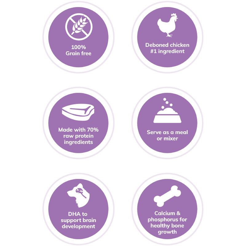 Wellness Core Canine Tender Bites Puppy 2lbs