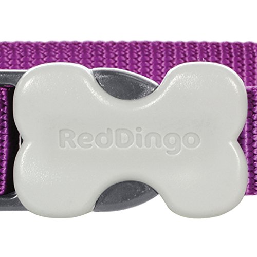 Red Dingo Dog Collar Classic - Purple - Available In S, M, ML & L