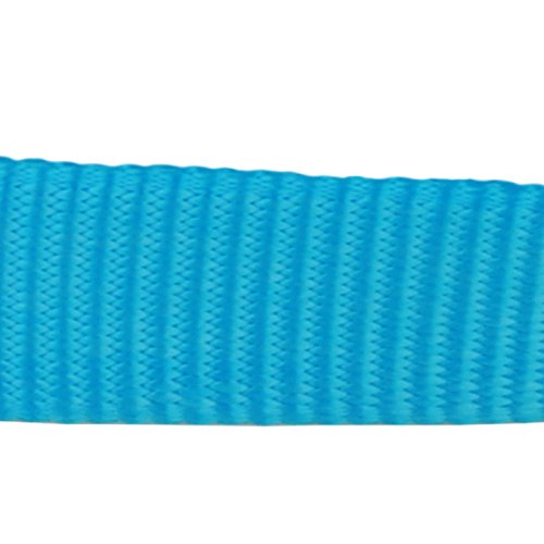 Red Dingo Dog Collar Classic - Turquoise - Available In S, M, ML & L