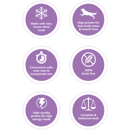 Wellness Core RawRev Puppy - 4lbs & 10lbs