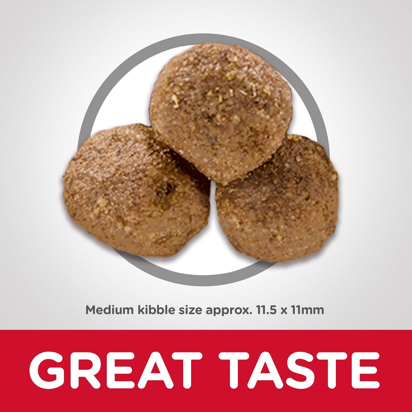 Science Diet Canine Adult Lamb Meal & Brown Rice Recipe - 15.5lbs