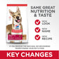 Science Diet Canine Adult Lamb Meal & Brown Rice Recipe - 15.5lbs