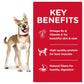 Science Diet Canine Adult Lamb Meal & Brown Rice Recipe - 15.5lbs