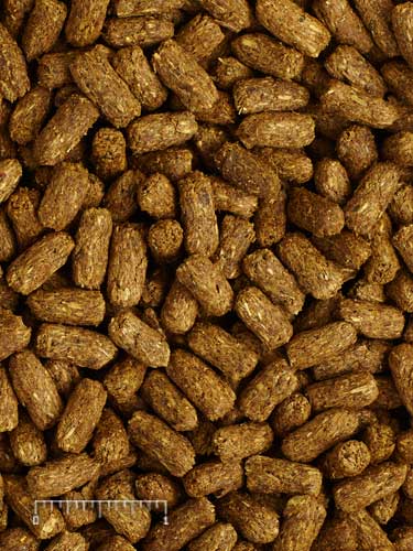 Mazuri Tortoise Diet LS - 200g