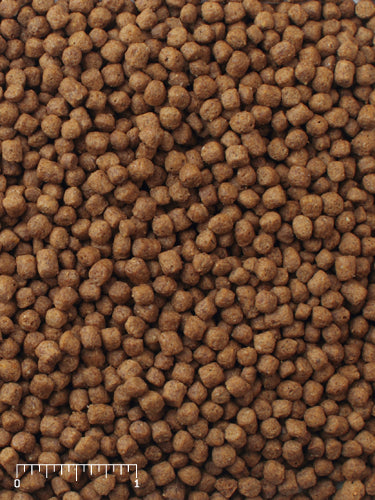 Mazuri Aquatic Turtle Diet 200g