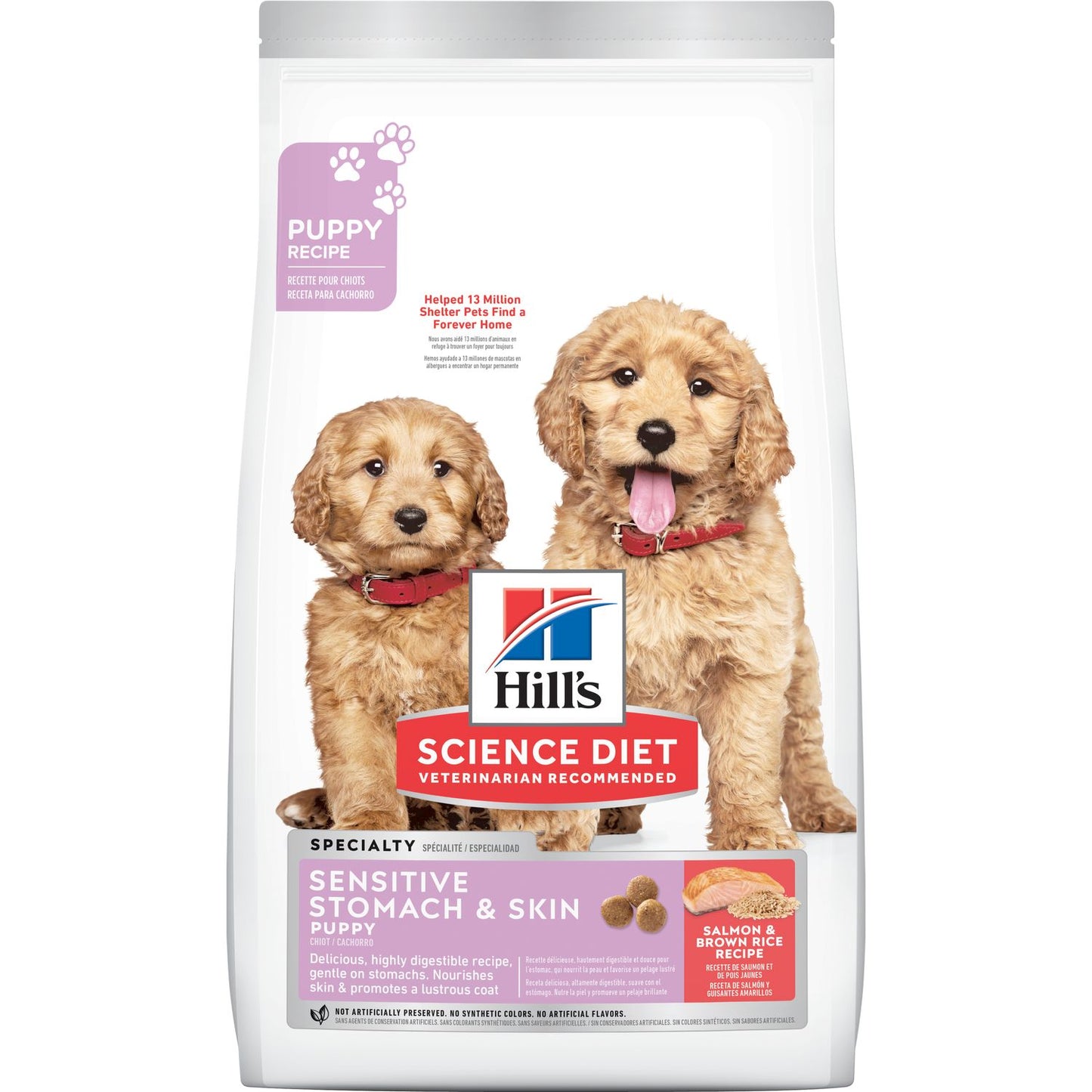 Hill Science Diet Puppy Sensitive Stomach & Skin Salmon Brown Rice