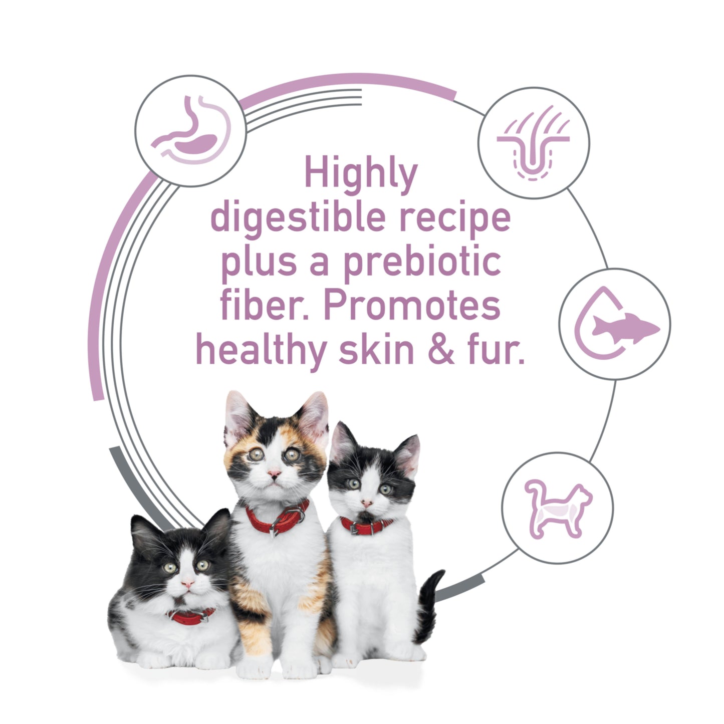 Hill Science Diet Kitten Sensitive Stomach & Skin Salmon & Brown Rice