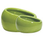 Living World Ergonomic Dish Large 420ml - Available in Green, Blue & Terracotta