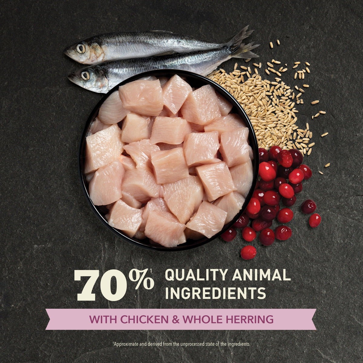 ACANA Cat Freeze-Dried Coated First Feast 1.8kg