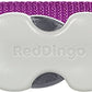 Red Dingo Dog Collar Classic - Purple - Available In S, M, ML & L