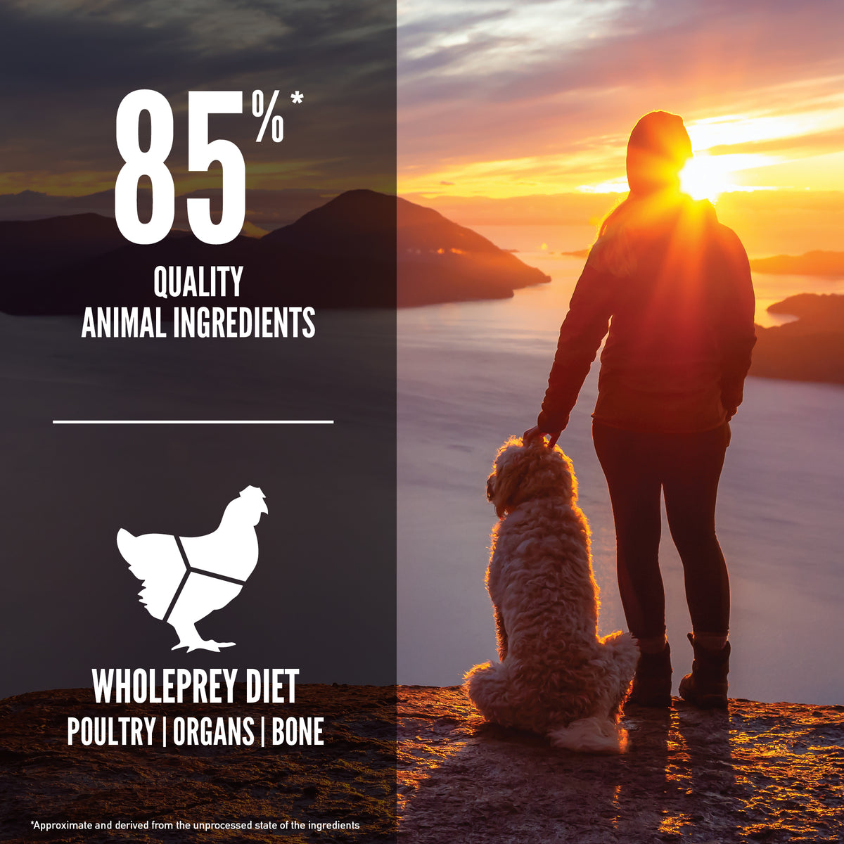 ORIJEN Dog Freeze-Dried Infused Senior 11.4kg