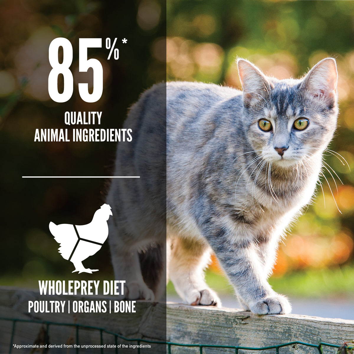ORIJEN Cat Freeze-Dried Infused Original 5.4kg