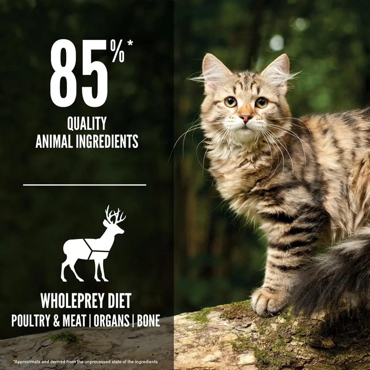 ORIJEN Cat Freeze-Dried Infused Tundra 1.8kg