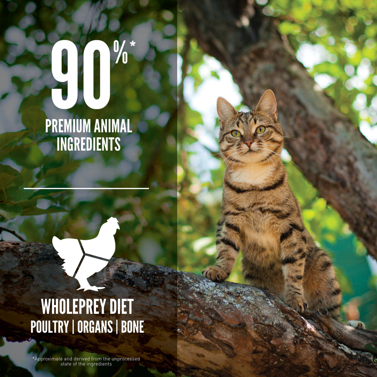 ORIJEN Cat Freeze-Dried Infused Guardian 8 - 1.8kg