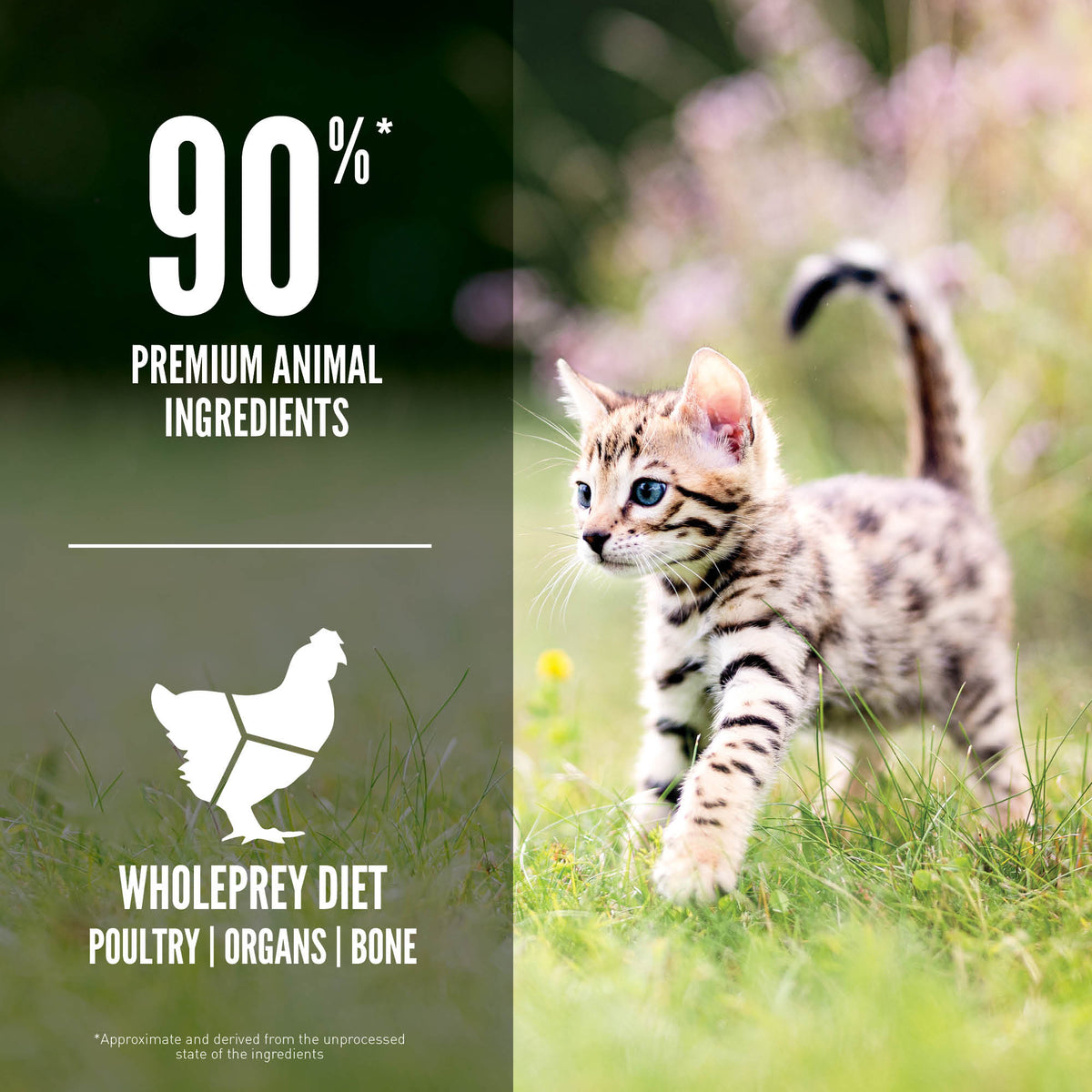 ORIJEN Cat Freeze-Dried Infused Kitten 1.8kg