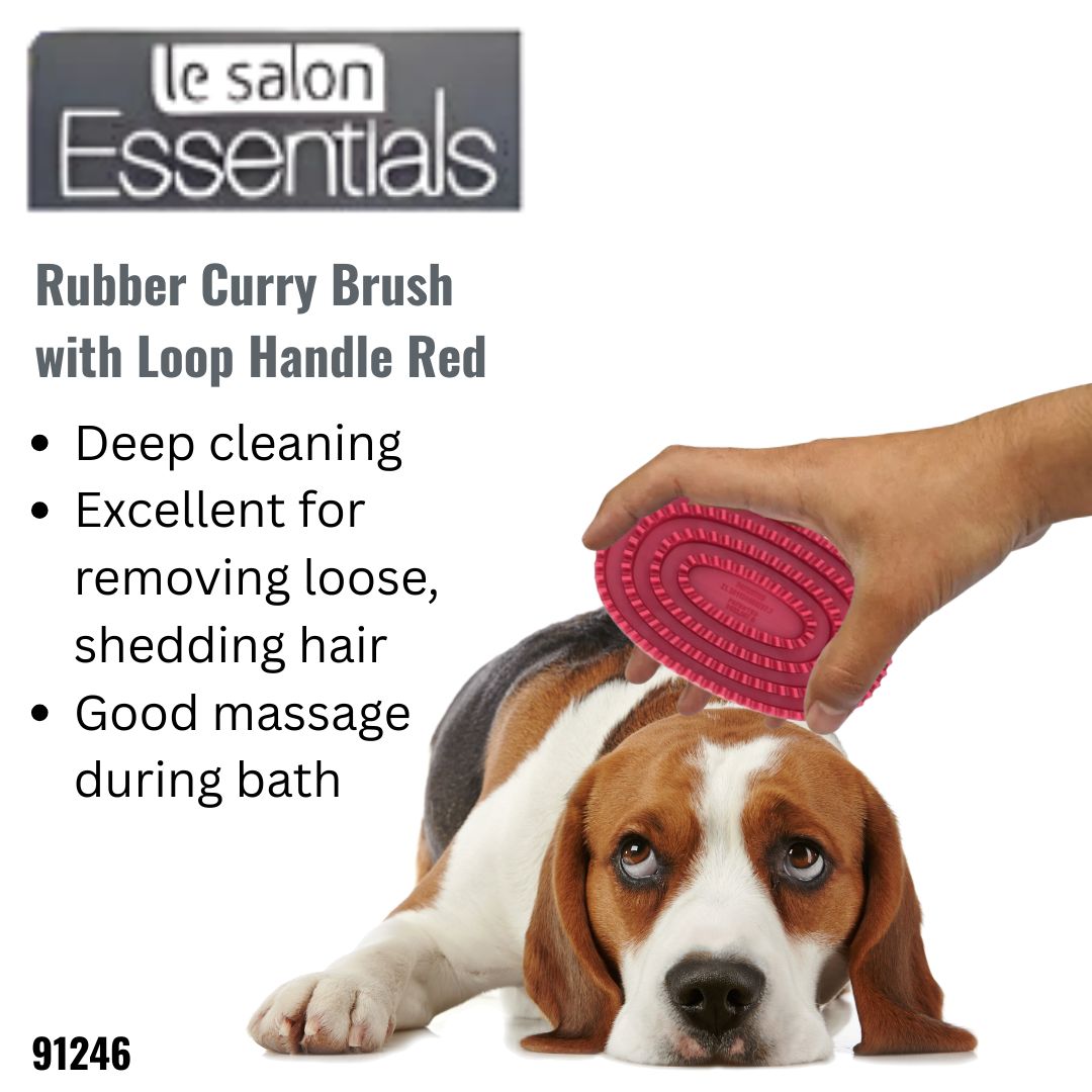 Le Salon Essentials Dog Rubber Curry Brush with Loop Handle, Red (91246)