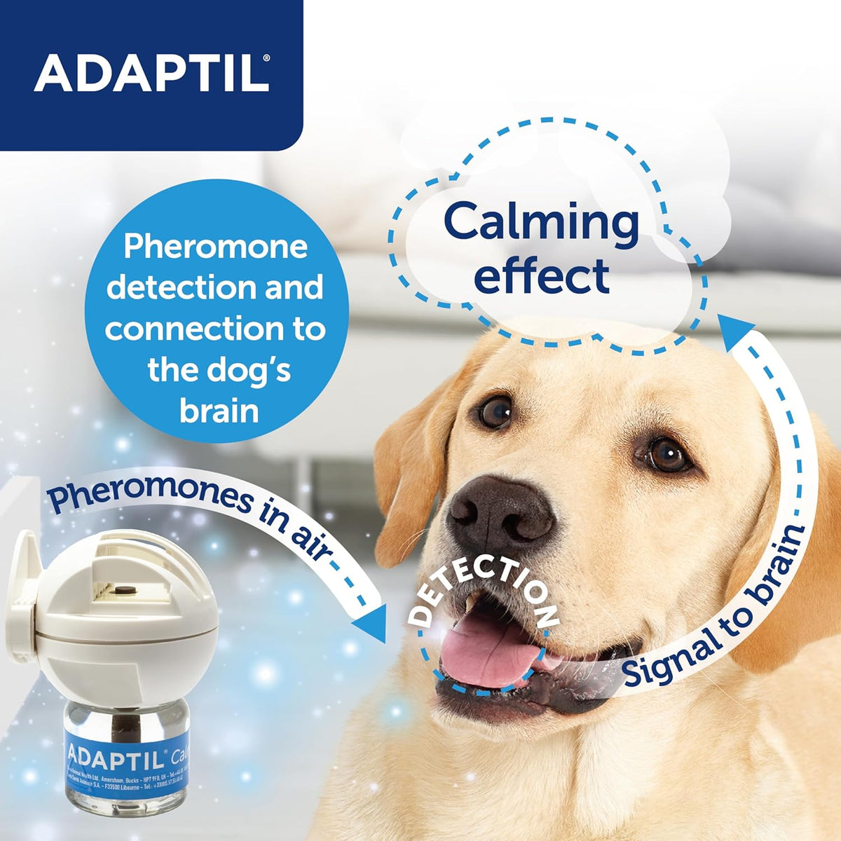 Diffuser Adaptil Plugged In Adaptil Plug In Diffuser + Refill 48ml – Pets Kampong SG