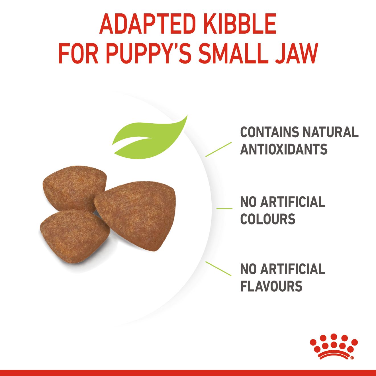 Royal Canin Mini Puppy 3rd Stage 2kg