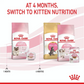 Royal Canin Feline Mother and Baby Cat 10kg (Stage 2)