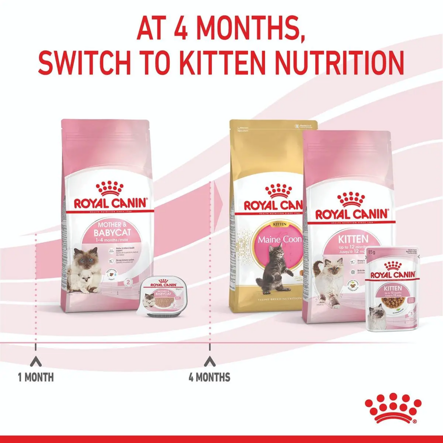 Royal Canin Feline Mother and Baby Cat 10kg (Stage 2)