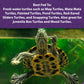 Mazuri Aquatic Turtle Diet 200g