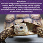 Mazuri Tortoise LS Diet 200g