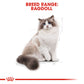 Royal Canin Feline Ragdoll 2kg
