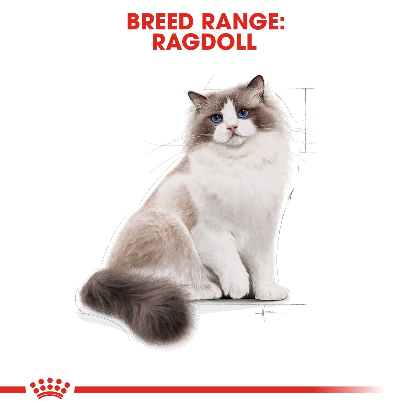 Royal Canin Feline Ragdoll 2kg