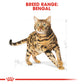 Royal Canin Feline Breed Bengal Adult 2kg