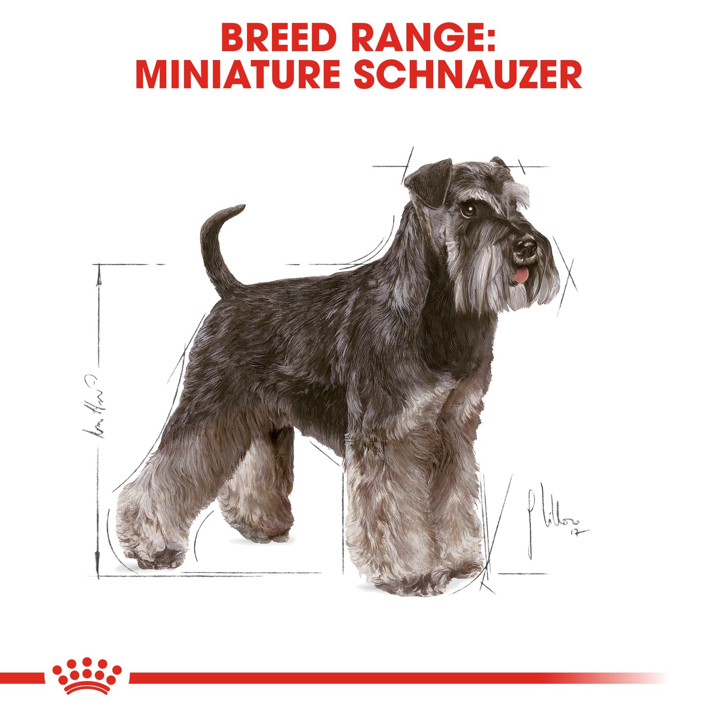 Royal Canin Canine Breed Mini Schnauzer Adult 3kg