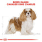 Royal Canin Canine Cavalier King Charles Adult 1.5kg