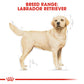Royal Canin Canine Breed Labrador Retriever Adult 12kg