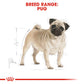 Royal Canin Canine Breed Pug 1.5kg