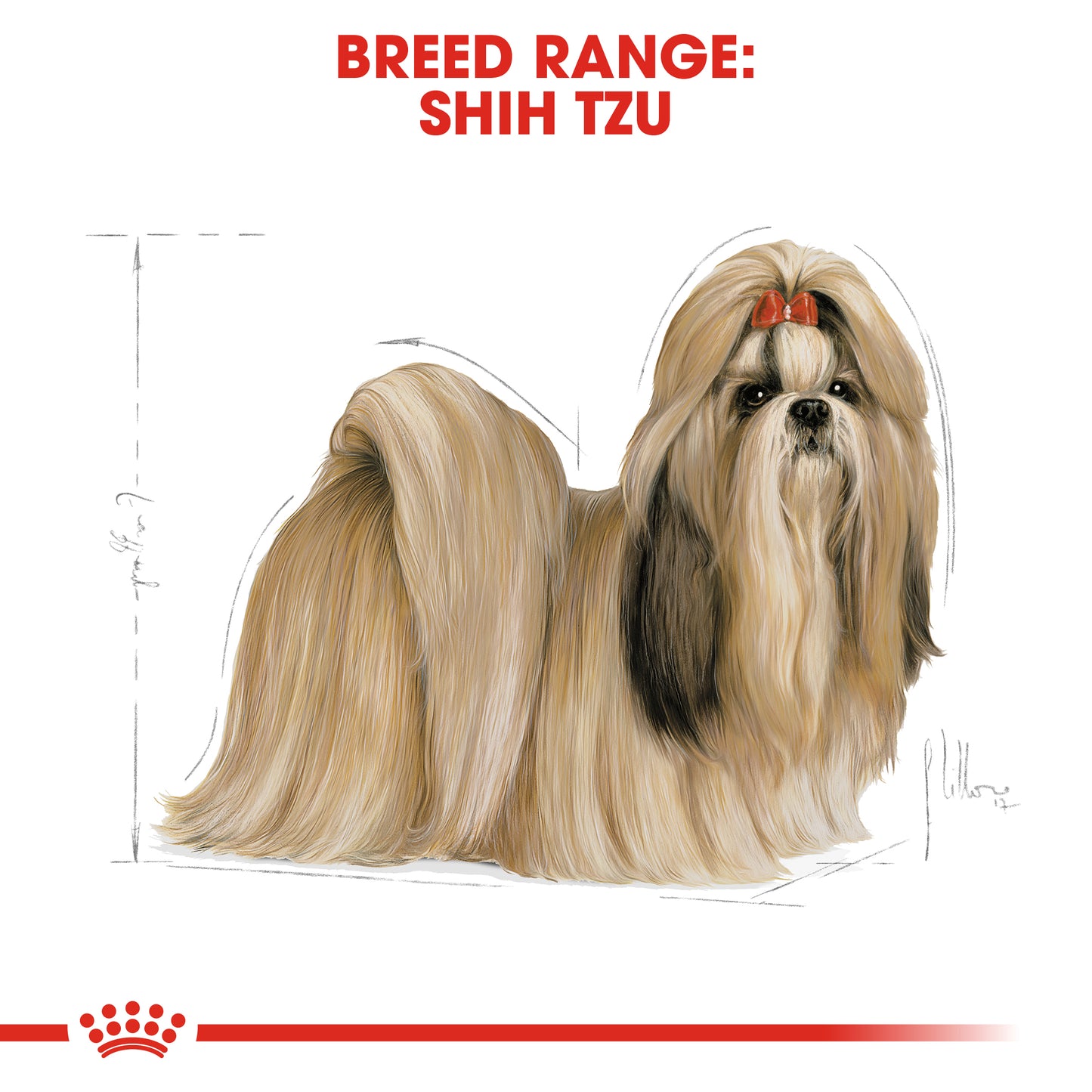 Royal Canin Canine Breed Shih Tzu Adult 1.5kg