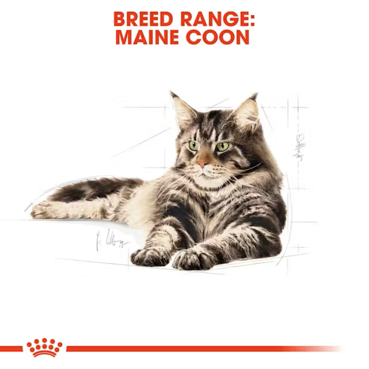 Royal Canin Feline Breed Maine Coon Adult 4kg