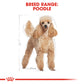 Royal Canin Canine Breed Poodle Adult 1.5kg